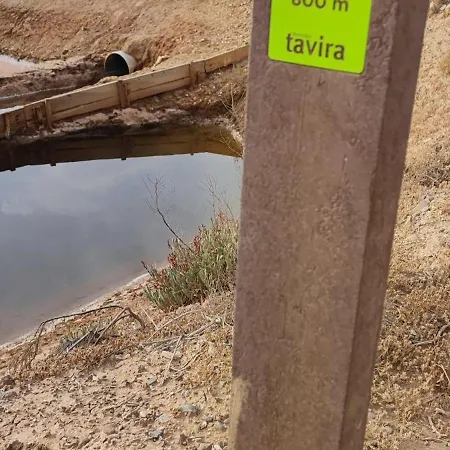 The King's View * Conceição