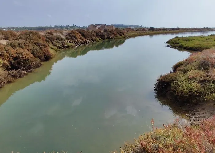 Daire The King's View