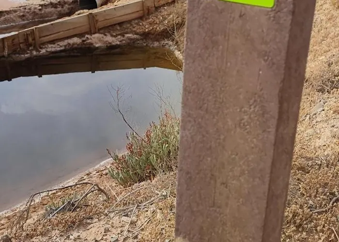 The King's View * Conceição